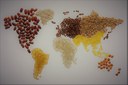 mapa mundi alimentos iStock.jpg