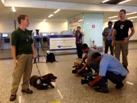 Cão deve começar o trabalho no aeroporto de Brasília até o final de março