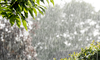 Chuva forte retorna ao Rio Grande do Sul neste fim de semana