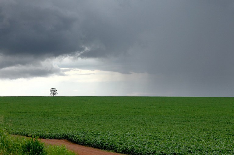 Prenúncio de Chuva.jpg