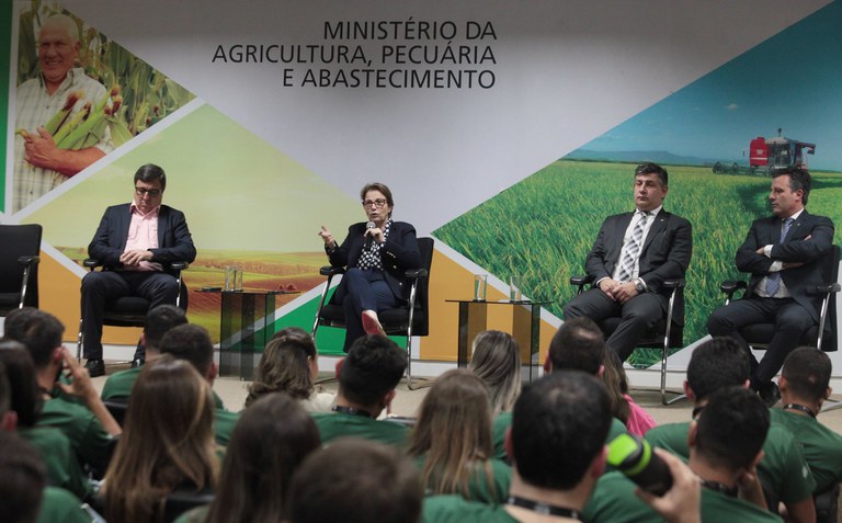 Defensivos agrícolas: ministra defende combate à desinformação para evitar prejuízos ao Brasil