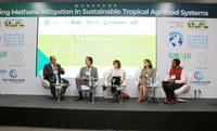 Em preparativos para o GT da Agricultura do G20, Mapa promove workshop sobre agropecuária tropical