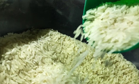 Governo Federal anula leilão de arroz beneficiado importado