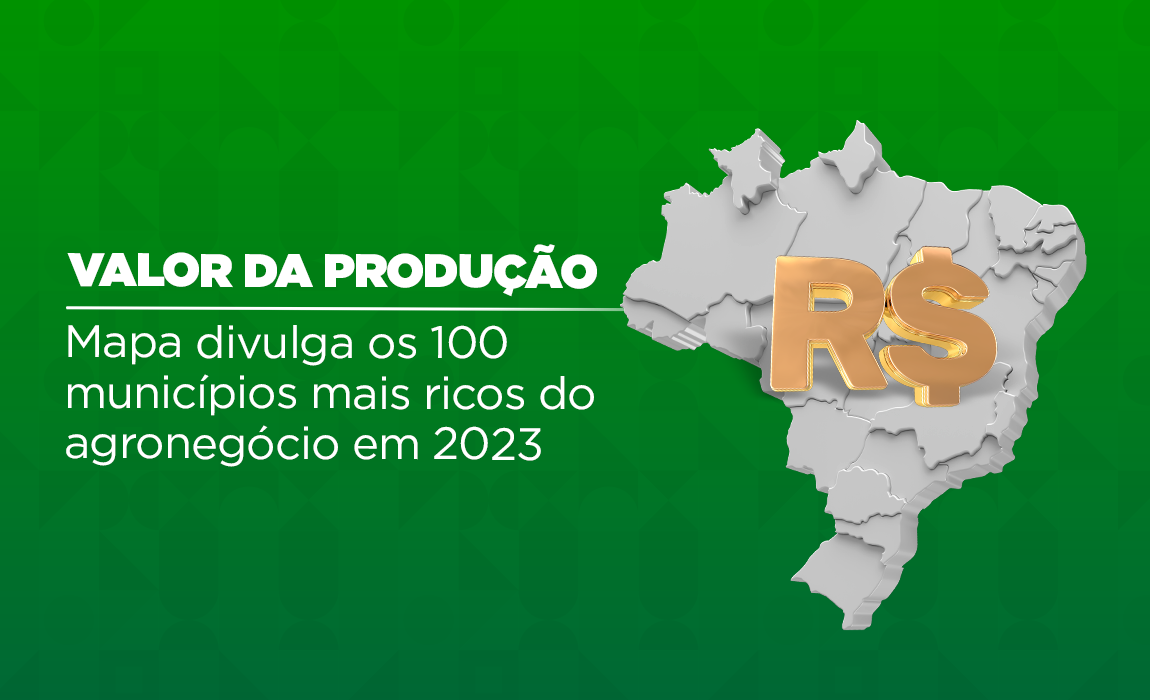 Sorriso (MT) e São Desidério (BA) lideram a produção agrícola brasileira, enquanto soja e milho se consolidam como os produtos de maior valor