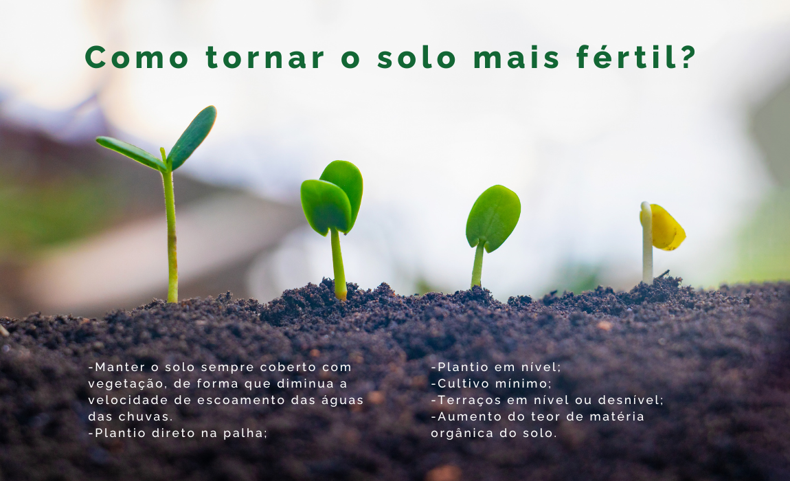 solo mais fértil