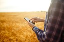 agricultor celular iStock-1211779746.jpg