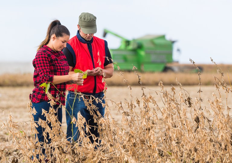 jovens agricultores istock.jpg