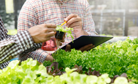 Plano para desenvolvimento agropecuário e agroindustrial do Matopiba é publicado