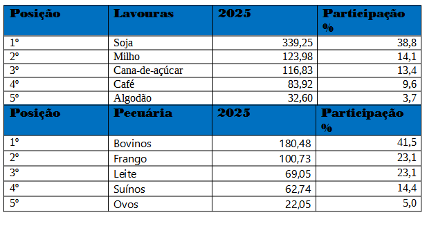 Participação relativas