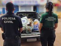 Vigifronteiras participa de operação contra venda ilegal no DF