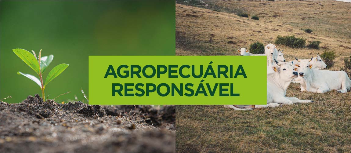 1150x500 banner site AGROPECUÁRIA_Prancheta 1.jpg