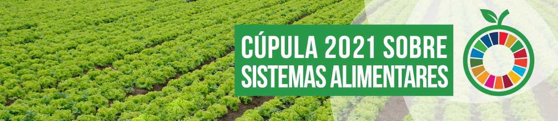 Cupula 2021 dos sistemas alimentares