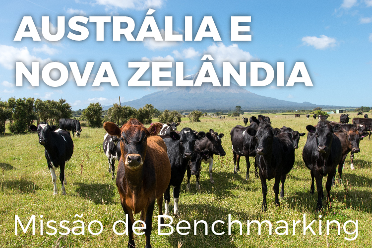 Banner 500 - missão de benchmarking australia e  nova zelandia