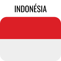 27. INDONESIA_Canva_flag.png