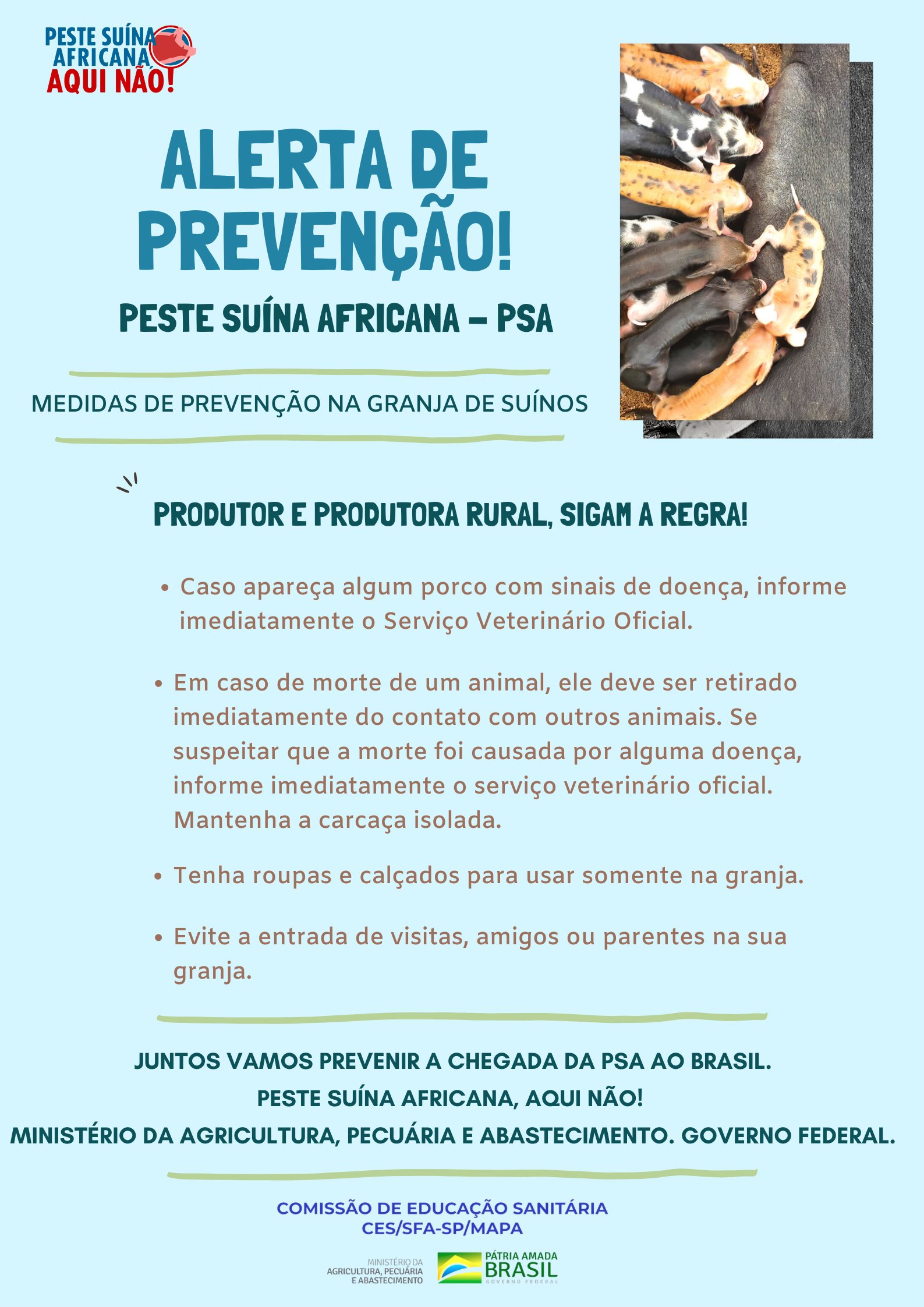 CART11 - Medidas de prevenção na granja de suínos.png