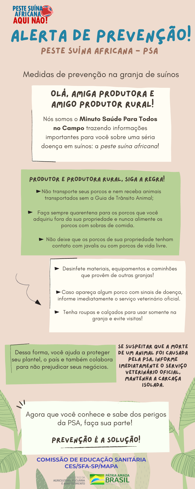 INF9 - Medidas de prevenção na granja de suínos.png