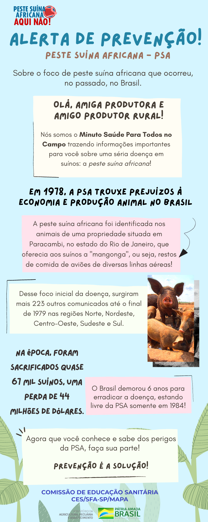 INFO10 - obre o foco de Peste Suína Africana que ocorreu, no passado, no Brasil.png