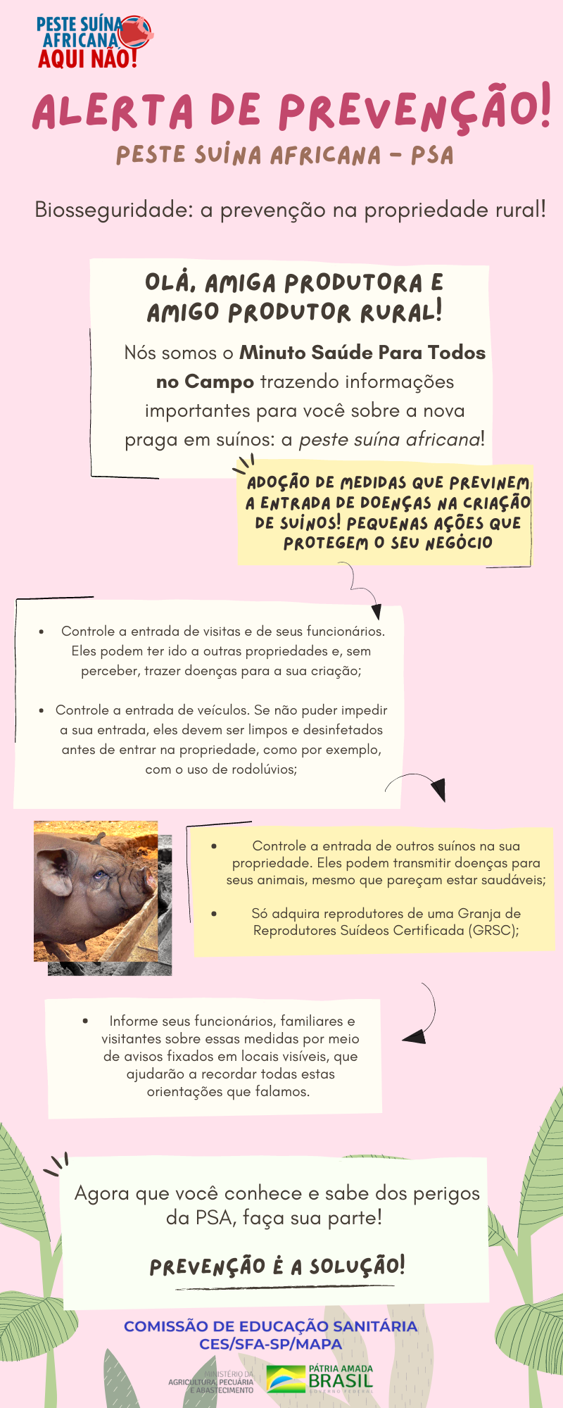 INFO3- Biosseguridade_ a prevenção na propriedade (RR) rural!.png