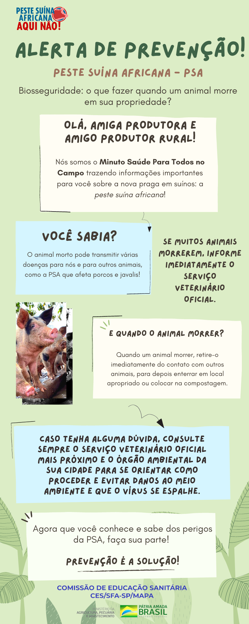 INFO4 - O que fazer quando um animal morre em sua propriedade_.png