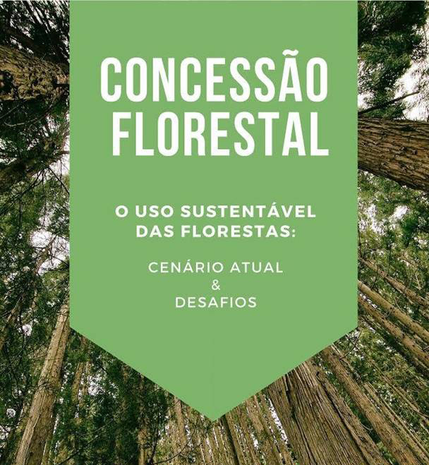 Workshop Concessão Florestal