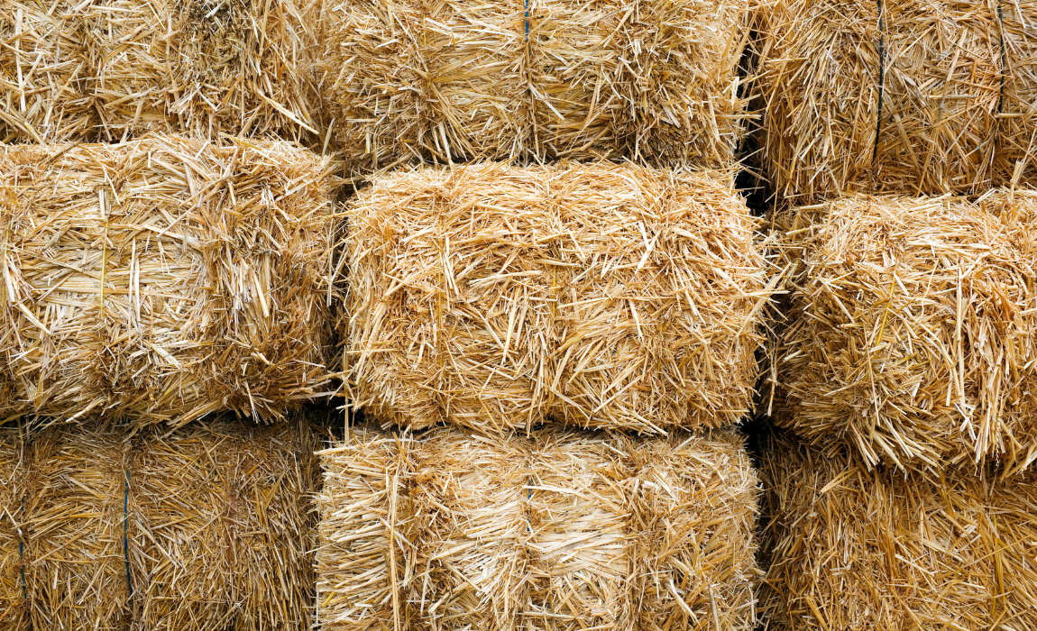 Abertura de mercados no Canadá para exportação de feno e fibra de coco do Brasil