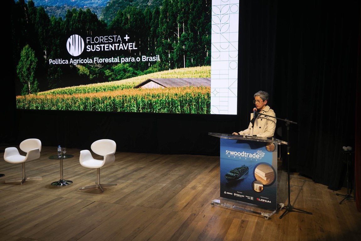 Ações do Mapa para fomentar a cadeia de florestas plantadas foram apresentadas na Semana Internacional da Madeira