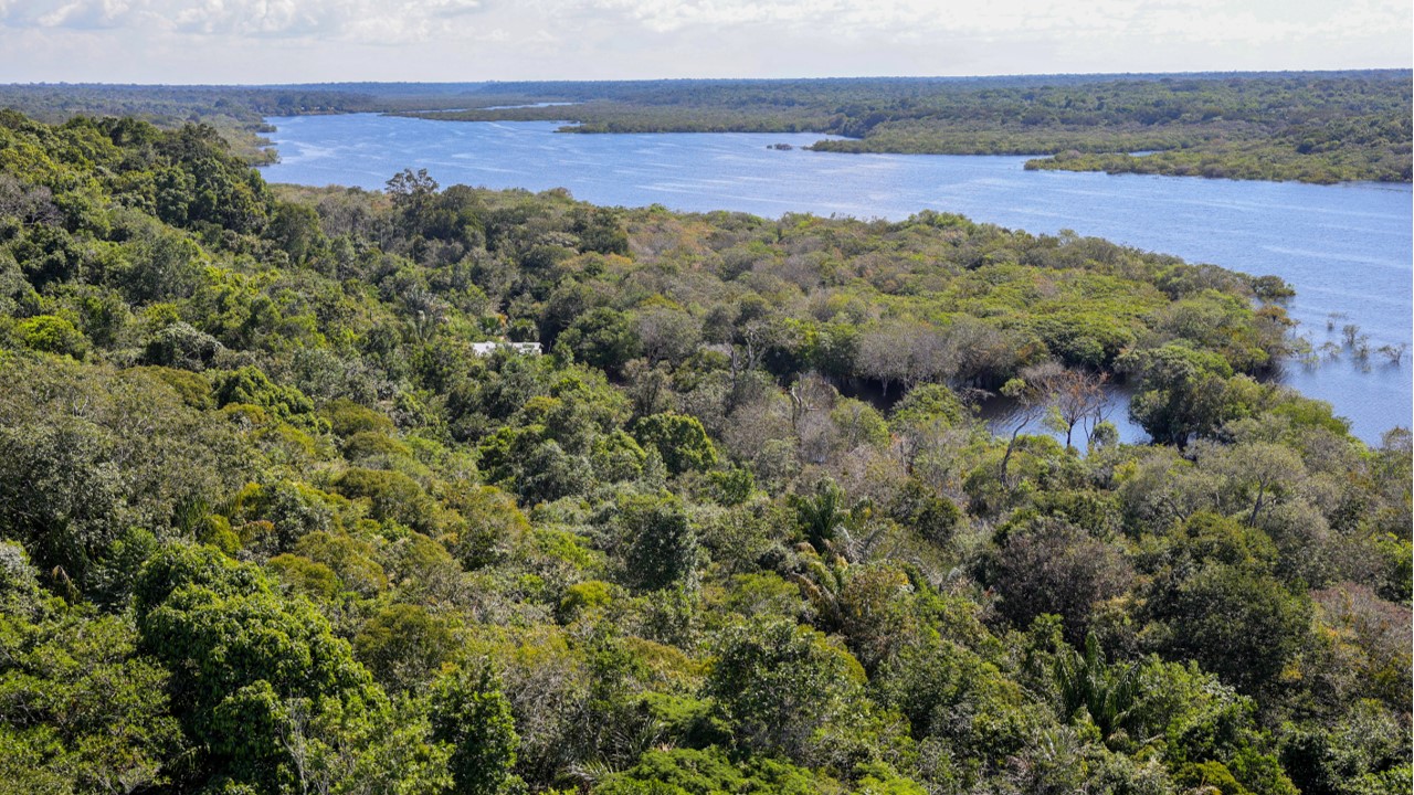 "AGU Recupera" pede o pagamento de R$ 36,8 milhões pelos danos à Amazônia, Cerrado, Mata Atlântica e Pampa