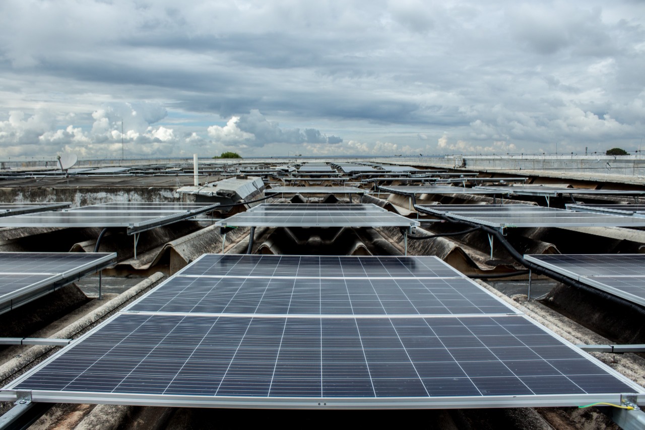 Energia Solar: o que é e como impacta no meio ambiente? - Neoenergia