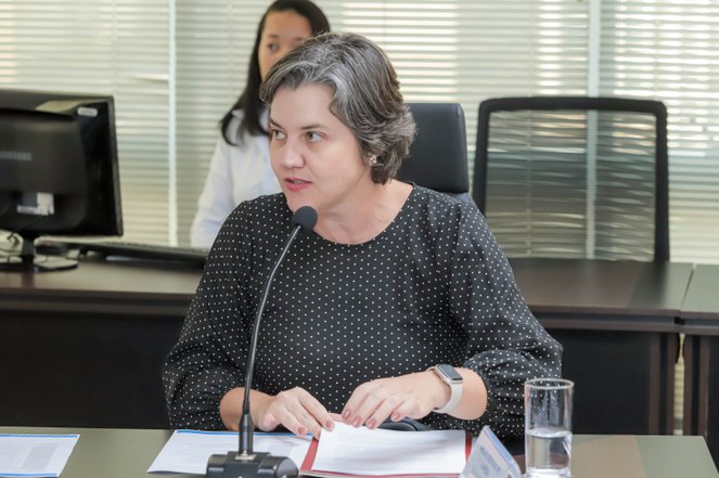A procuradora-geral da Fazenda Nacional, Anelize Almeida