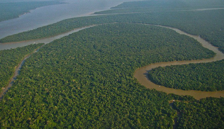 Floresta Amazônica.jpg