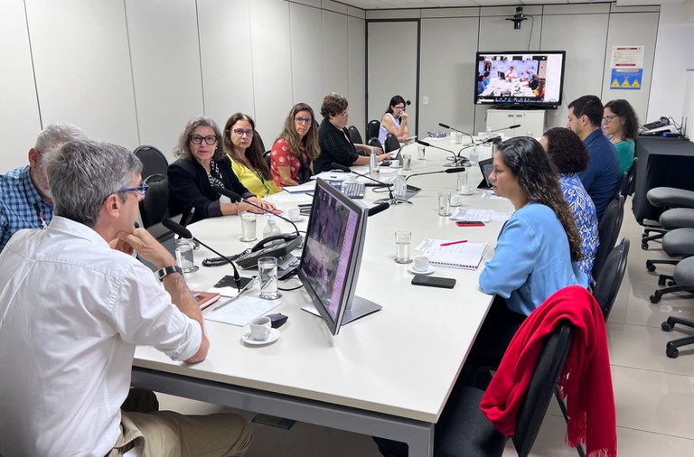 Coordenações estaduais e de capitais de HIV, aids, tuberculose, hepatites virais e ISTs participam de reunião com MS