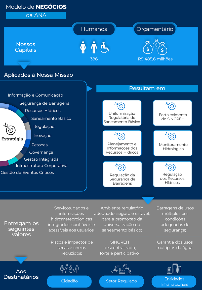Infográfico Modelo de Negócios da ANA.png