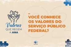 2 conheçamos valores que regem o servico publico federal.jpeg