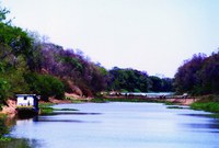 Agência Peixe Vivo lança edital para contratação de consultoria para o Comitê da Bacia Hidrográfica do Rio Verde Grande
