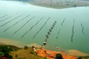 Aquicultura com tanques-rede no rio Paranaíba (MG/MS)