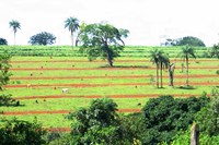 ANA investe em ações para conservação de água e solo de três municípios capixabas da bacia do rio Guandu (ES)