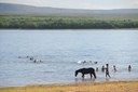 sfrn_054-d-pe0214-lago-da-barragem-itaparica-no-rio-s-francisco-nova-petrolandia-br316-pe.jpg