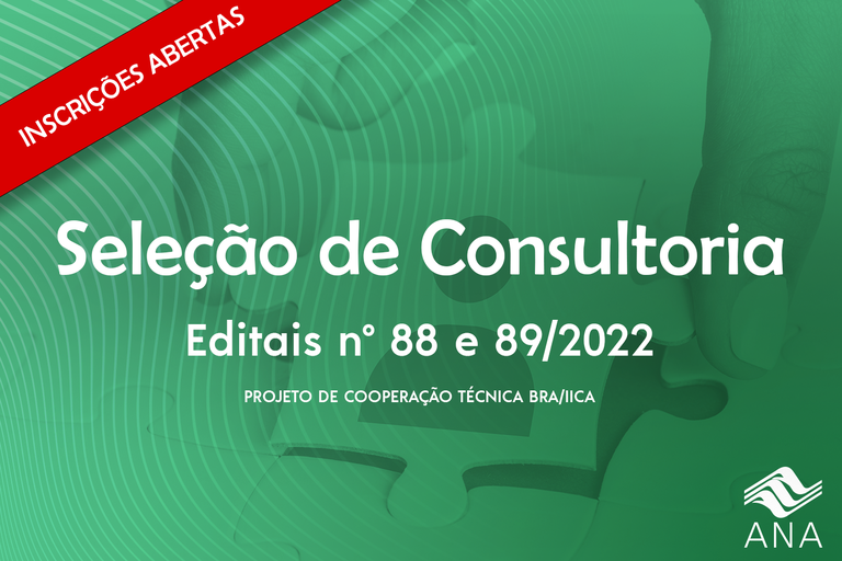 seleção de consultoria.png