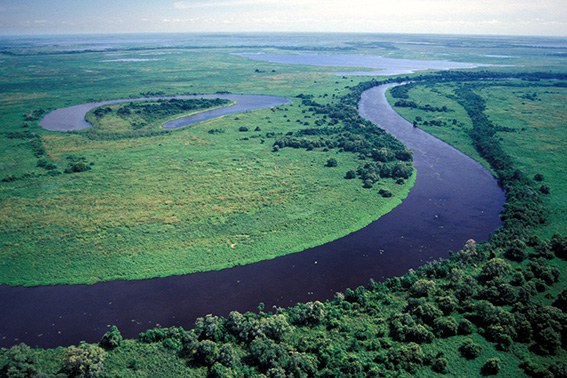 PARG_061 PA1506- Rio Paraguai - Pantanal - MS - Zig Koch.jpg