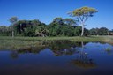 Pantanal (MT)