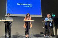 Debates sobre água e gênero norteiam participação da ANA na Semana Mundial da Água na Suécia