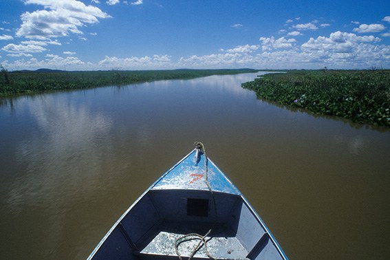 parg_055-pa1211-rio-paraguai-pantanal-ms-zig-koch.jpg