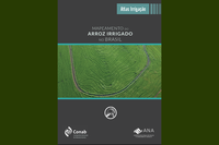 Mapeamento da ANA e da CONAB identifica 1,3 milhão de hectares de arroz irrigado no Brasil