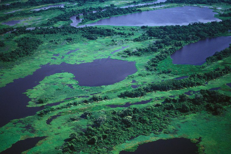 Pantanal (MT)