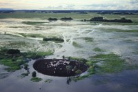 Pesquisadores apresentam resultados de estudos sobre mudanças climáticas