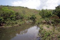 Projeto Produtor de Água no Pipiripau tem vigência prorrogada até 2023