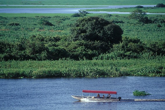 Rio Paraguai no Pantanal de Mato Grosso do Sul