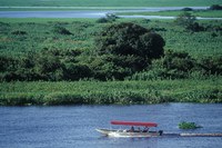 Sala de Crise do Pantanal inicia acompanhamento da seca na região