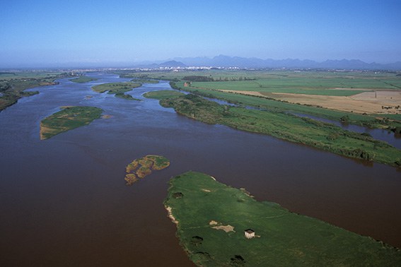 ATSD_195 RJC1303- Rio Paraíba do Sul e Campos dos Goitacazes - RJ - Zig Koch.jpg