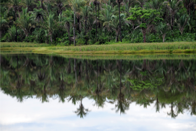 Rio Balseiro (MA) - Zig Koch / Banco de Imagens ANA